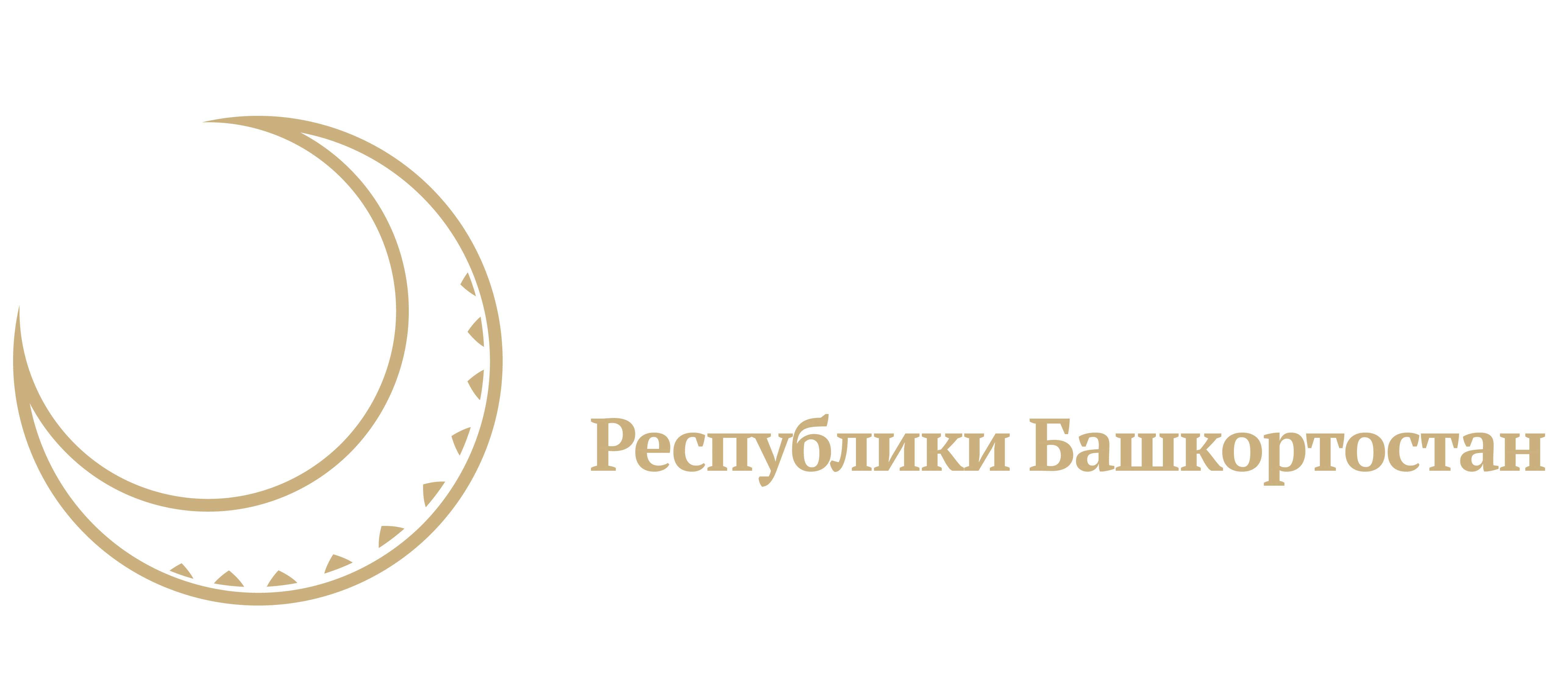 DumRb Logo